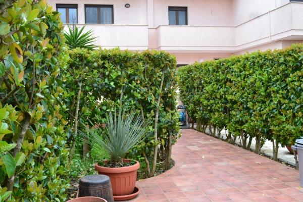 (Cod. Immobile: 4000) - Tipologia: Villa a San Michele Salentino (Brindisi) Puglia