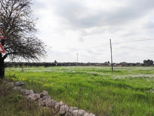 (Cod. Immobile: 060499) Terreno Giovannarolla - Tipologia: Terreno a Ostuni (Brindisi) Puglia