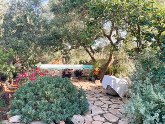 (Cod. Immobile: 558833) Villa indipendente a soli 2,5 km da Ostuni con terreno e vasca idromassaggio - Tipologia: Villa a Ostuni (Brindisi) Puglia